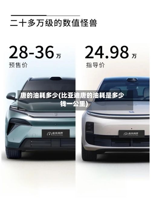 唐的油耗多少(比亚迪唐的油耗是多少钱一公里)