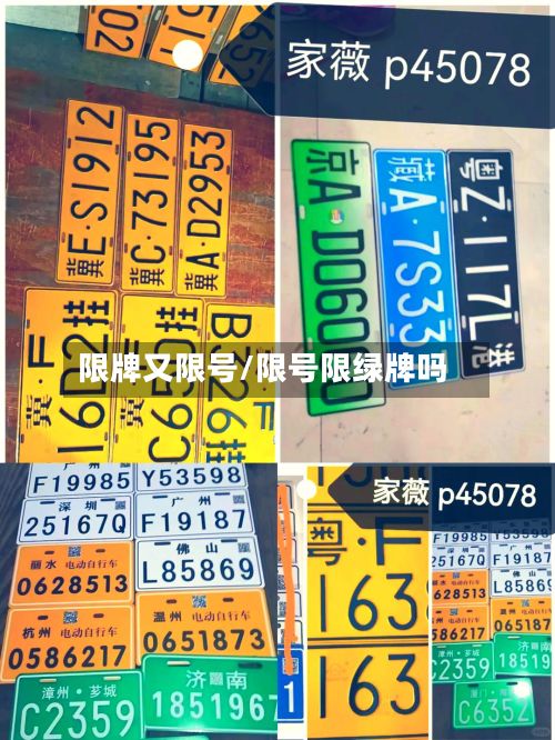 限牌又限号/限号限绿牌吗