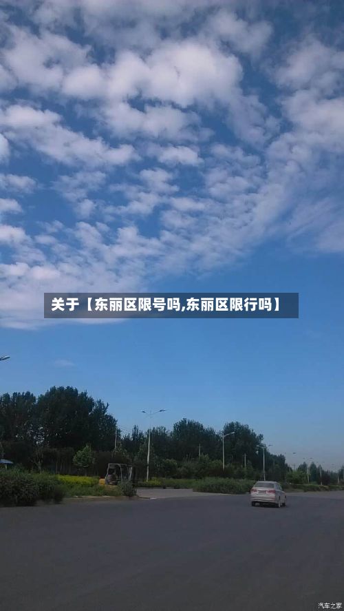 关于【东丽区限号吗,东丽区限行吗】-第3张图片