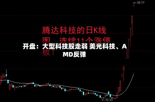 开盘：大型科技股走弱 美光科技、AMD反弹