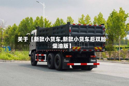 关于【新款小货车,新款小货车后双胎柴油版】
