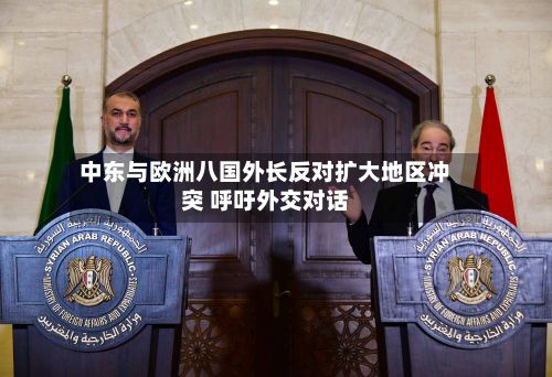 中东与欧洲八国外长反对扩大地区冲突 呼吁外交对话-第3张图片