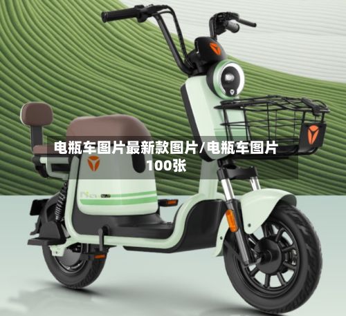 电瓶车图片最新款图片/电瓶车图片100张